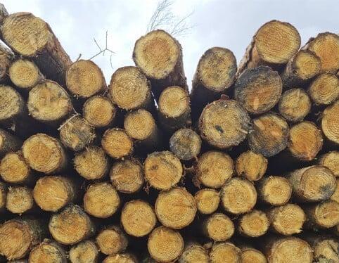 Seasoned wood from local suppliers
